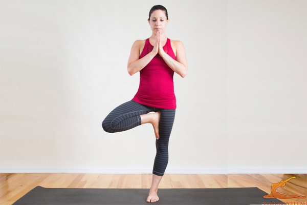 Tư thế cái cây trong yoga trị liệu giúp linh hoạt kiên nhẫn