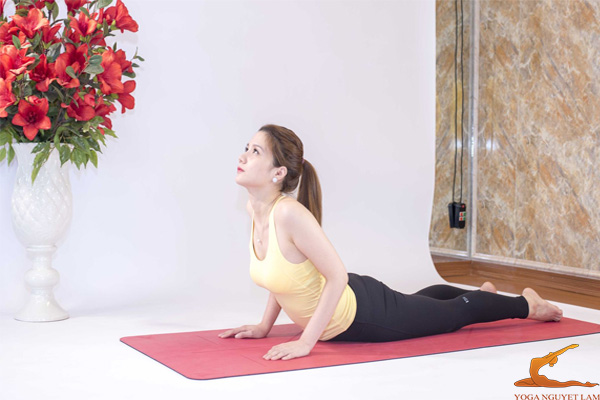 Tư thế rắn hổ mang trong yoga giúp điều hoà trao đổi chất
