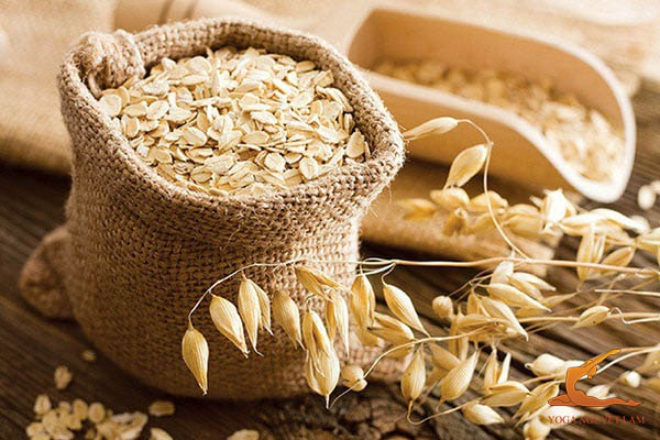 Yến mạch ngừa bệnh tiểu đường tuýp 2